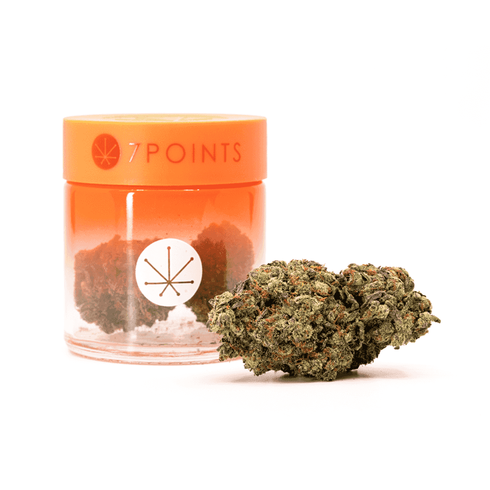 7 Points gallery #3 4