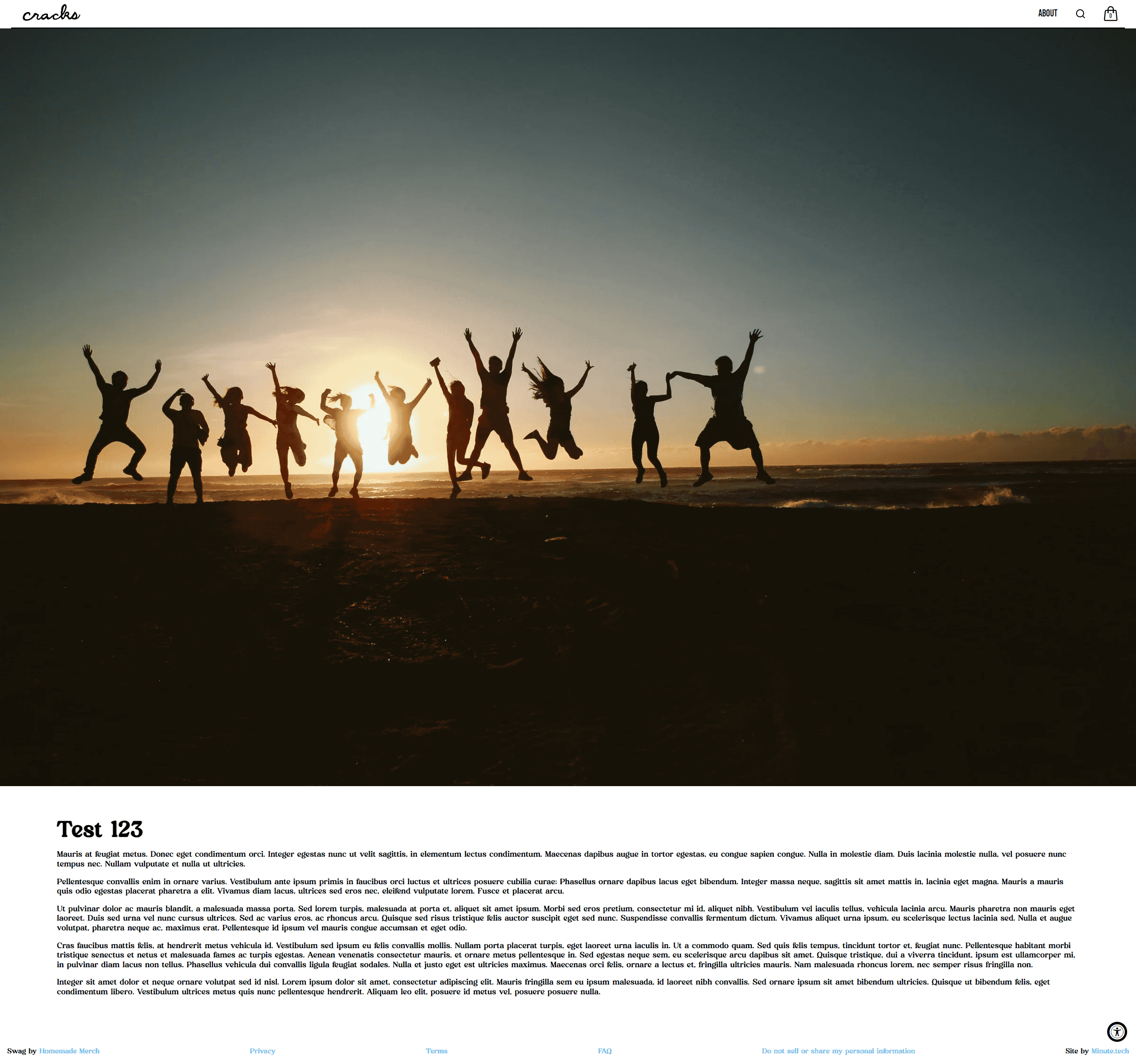 max4cracks.com gallery #1 4